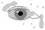 Image of [describe the objects and embedded text]