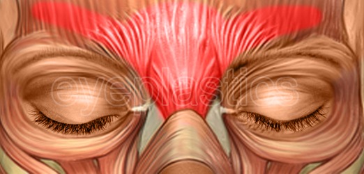 Illustration of Botulinum toxin molecule